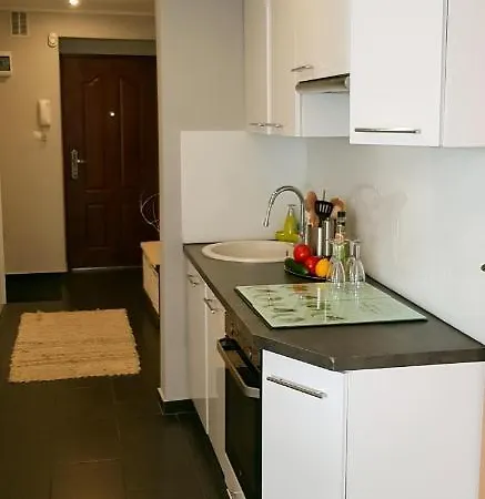 Apartament Centrum Miasta 公寓