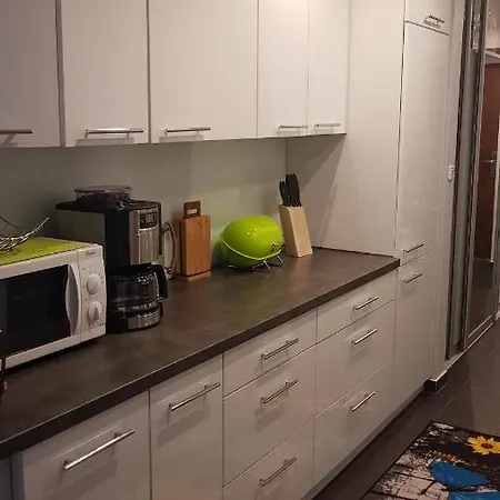 公寓 Apartament Centrum Miasta *